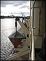 IMG_3447.JPG