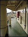 IMG_3450.JPG